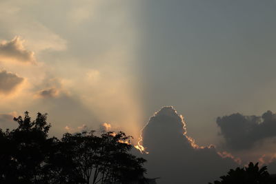 Low angle view of silhouette trees against sky during sunset