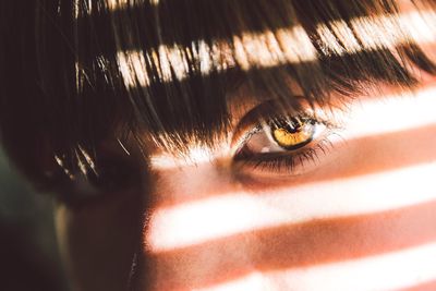 Close-up portrait of human eye