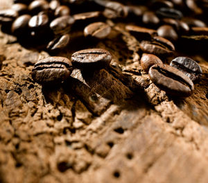 Close-up of coffee beans