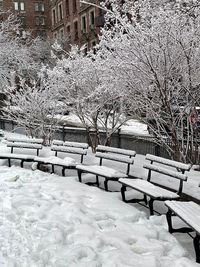 Snow covered bench against bare trees in park