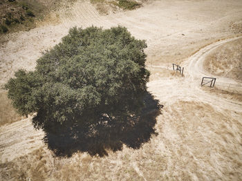 High angle view of road amidst trees on field