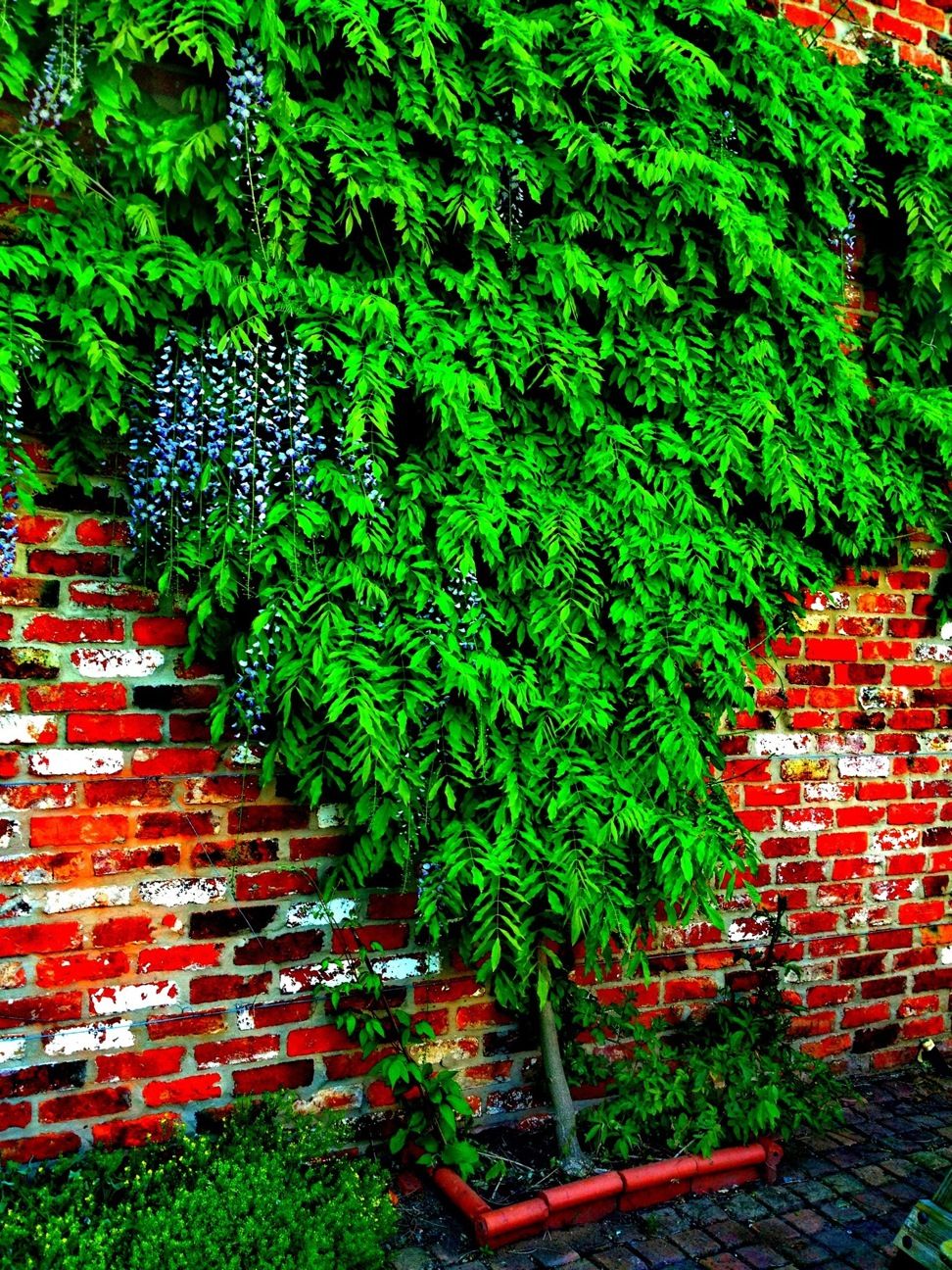 Waterways Garden Centre