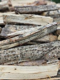 wood