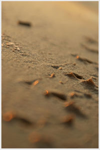 Close-up of sand at beach