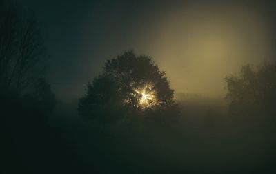 Low angle view of silhouette trees against sky during sunset