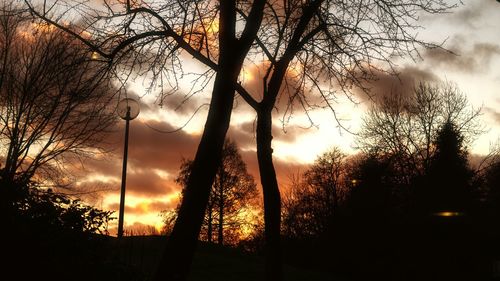 Silhouette of bare tree against sunset sky