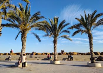 People by palm trees against sky