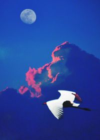 Low angle view of jellyfish against blue sky