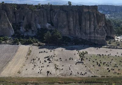 cliff