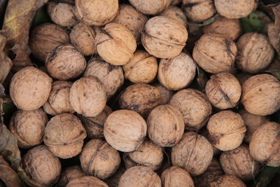 Basket with walnuts 