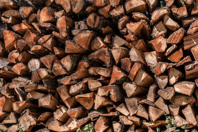 Full frame shot of logs in forest