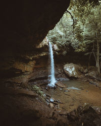 Scenic view of waterfall in forest