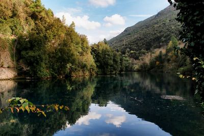 Scenic view of lake by trees against sky
