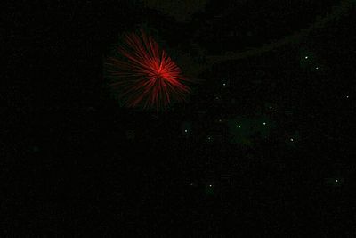 Low angle view of firework display at night