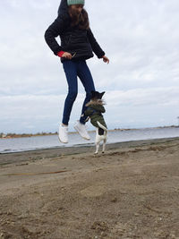 Full length of dog on beach