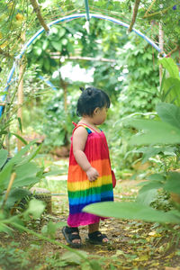 Rear view of boy standing amidst plants