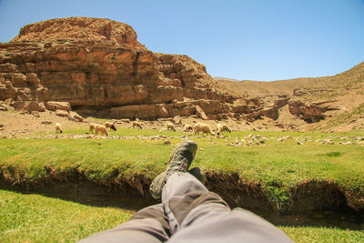 Low section of man relaxing on grassy field against clear sky