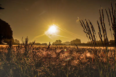 Scenic view of field against sky at sunset