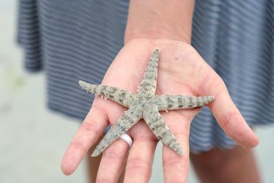 Close-up of woman hand holding leaf