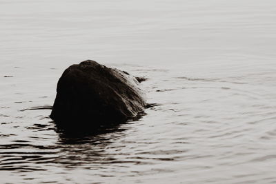 Rock formation in sea