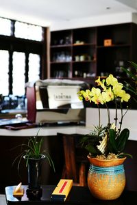 Close-up of potted flower in a restaurant