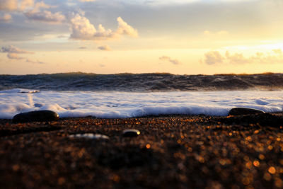 View of seagulls on beach during sunset