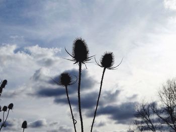 Low angle view of cloudy sky