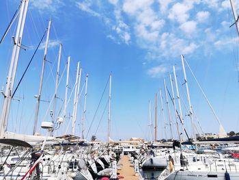 Sailboats in harbor