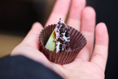 Close-up of hand holding leaf
