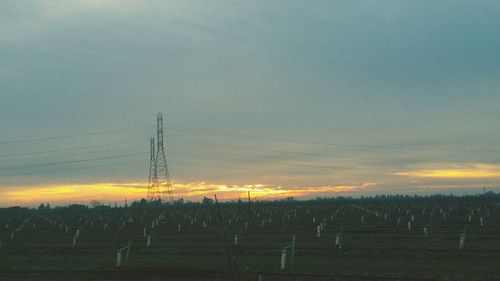 View of landscape at sunset