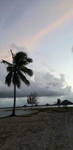 Silhouette palm trees on beach against sky at sunset