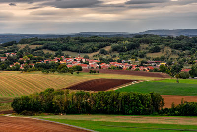 Scenic view of agricultural field against sky