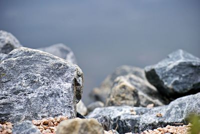 Close-up of rocks at beach