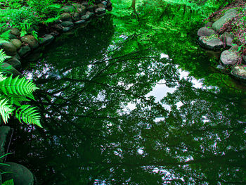 Scenic view of lake