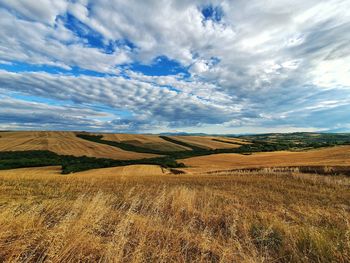 Scenic view of agricultural field against sky