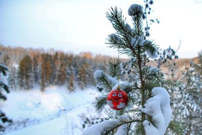 Close-up of hand on snow covered field