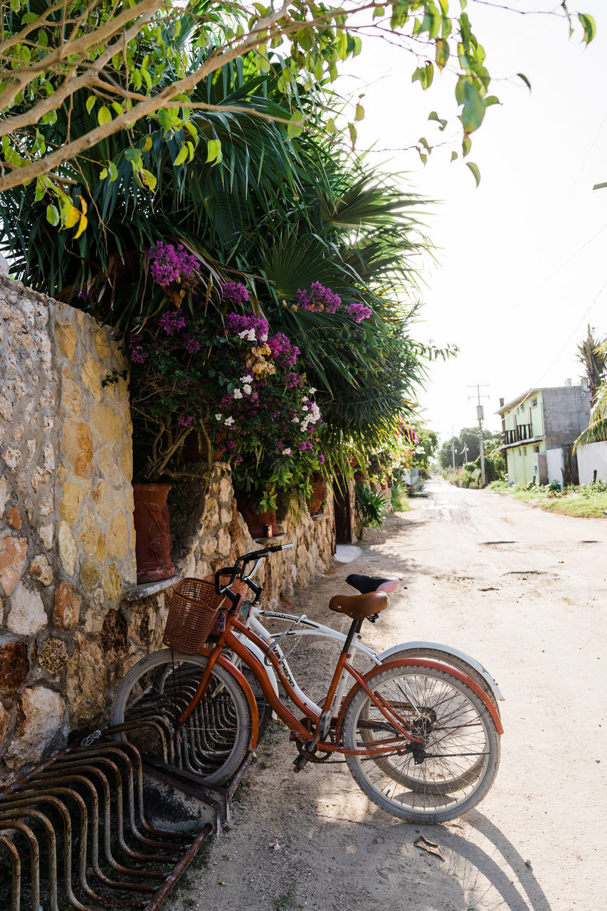 transportation, plant, bicycle, nature, mode of transportation, architecture, land vehicle, no people, city, tree, day, building exterior, built structure, street, outdoors, travel, flower, vehicle, building, footpath, growth