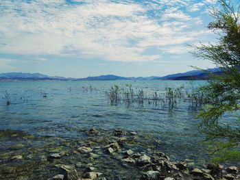 Scenic view of sea against sky