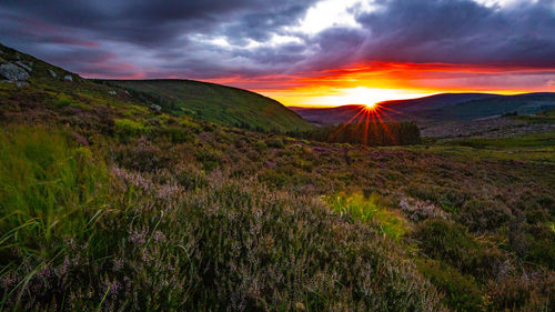 Scenic view of landscape against sky during sunset