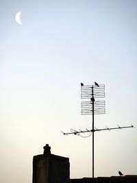 Low angle view of birds on building against clear sky