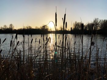 Scenic view of lake against sky during sunset