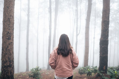Rear view of woman standing by trees in forest
