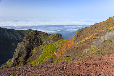 Landscape with mountain range in background