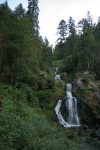 Scenic view of waterfall in forest against sky