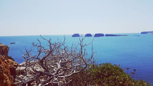 Scenic view of sea against clear sky