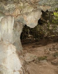 Close-up of rock formation