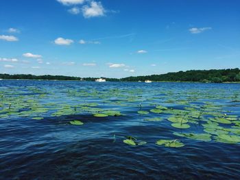 Scenic view of sea against blue sky