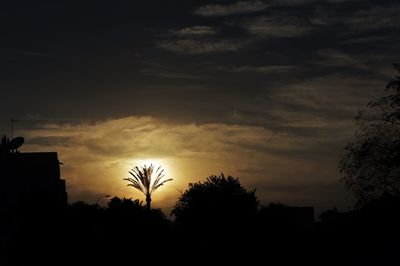 Low angle view of silhouette trees against sky