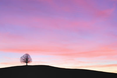 Silhouette trees on landscape against sky during sunset