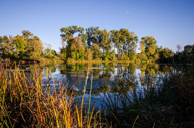 Scenic view of lake against clear sky